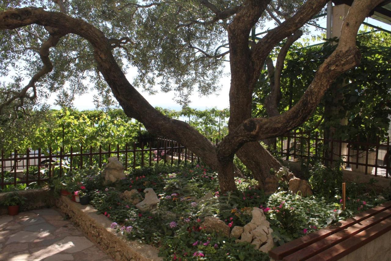 Apartments With A Parking Space Makarska - 6792 מראה חיצוני תמונה